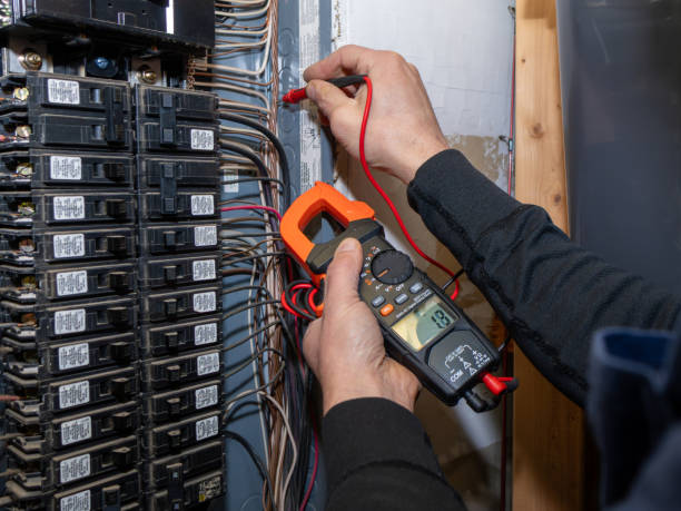 Best Electric Panel Repair  in Shoh, IL